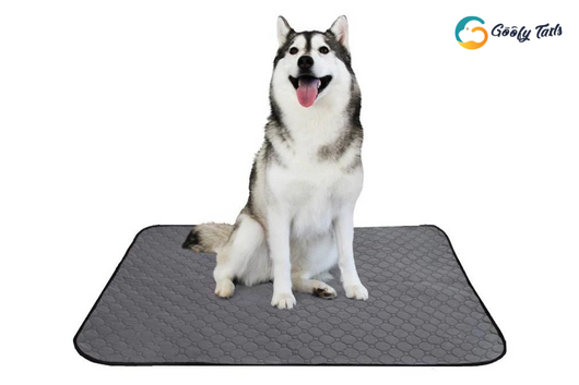 Benefits of Reusable training pee pads for puppies – GoofyTails