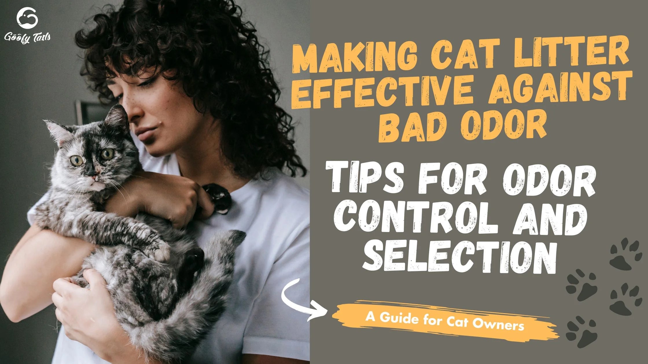 Making Cat Litter Effective Against Bad Odor: Tips for Odor Control and Selection