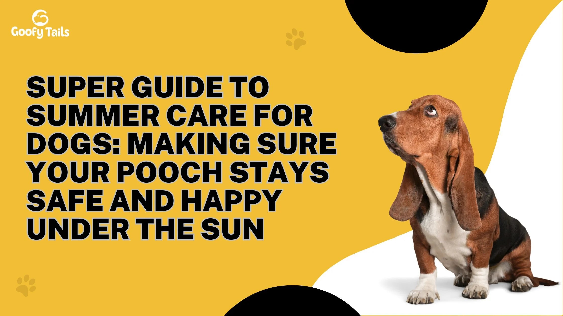 Super Guide to Summer Care for Dogs: Making Sure Your Pooch Stays Safe and Happy Under the Sun