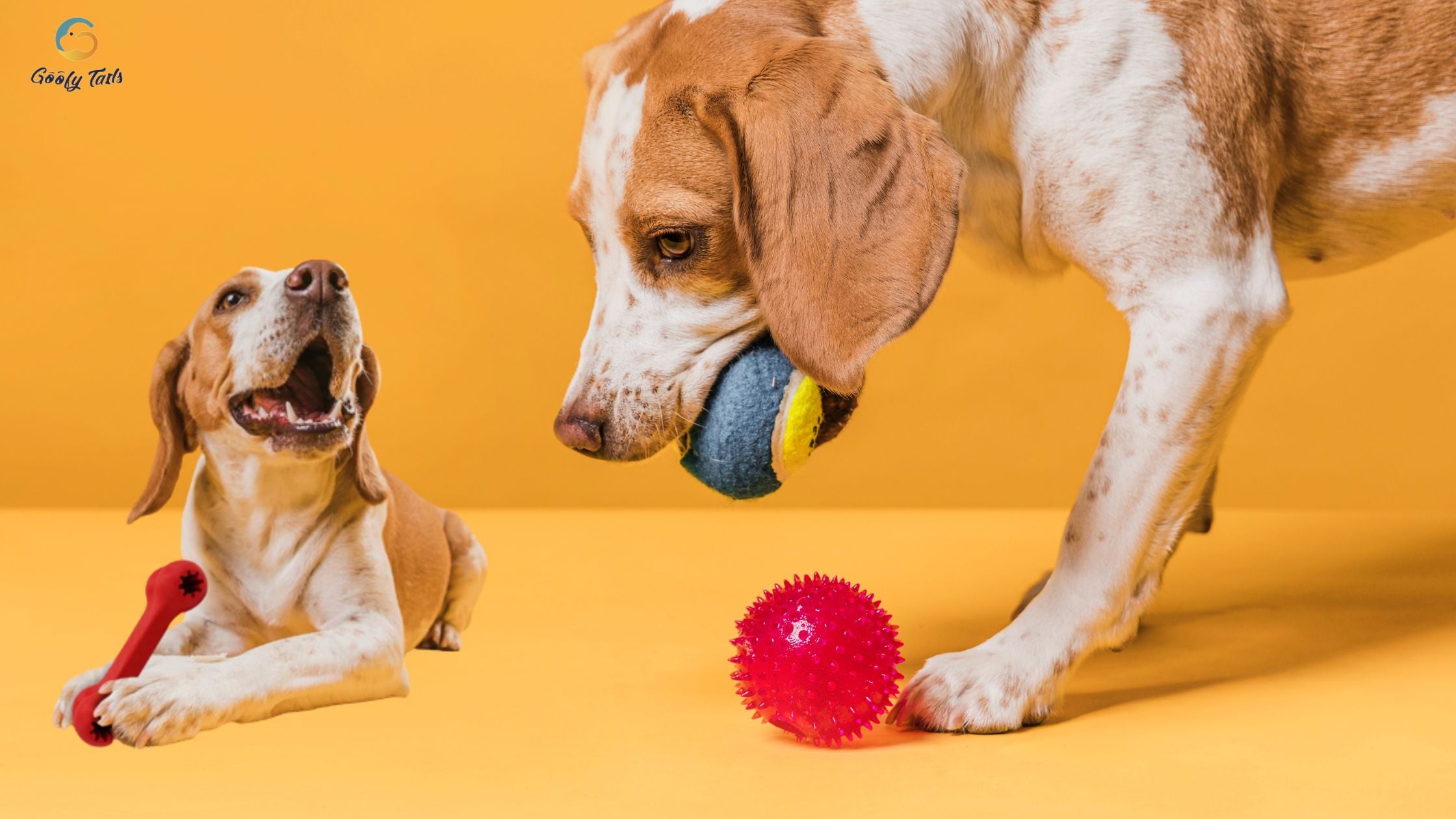 Interactive Dog Balls, Dog Toys for Boredom and Stimulating, Dog Toys for  Aggressive Chewers, Safer for Dog's Mouths