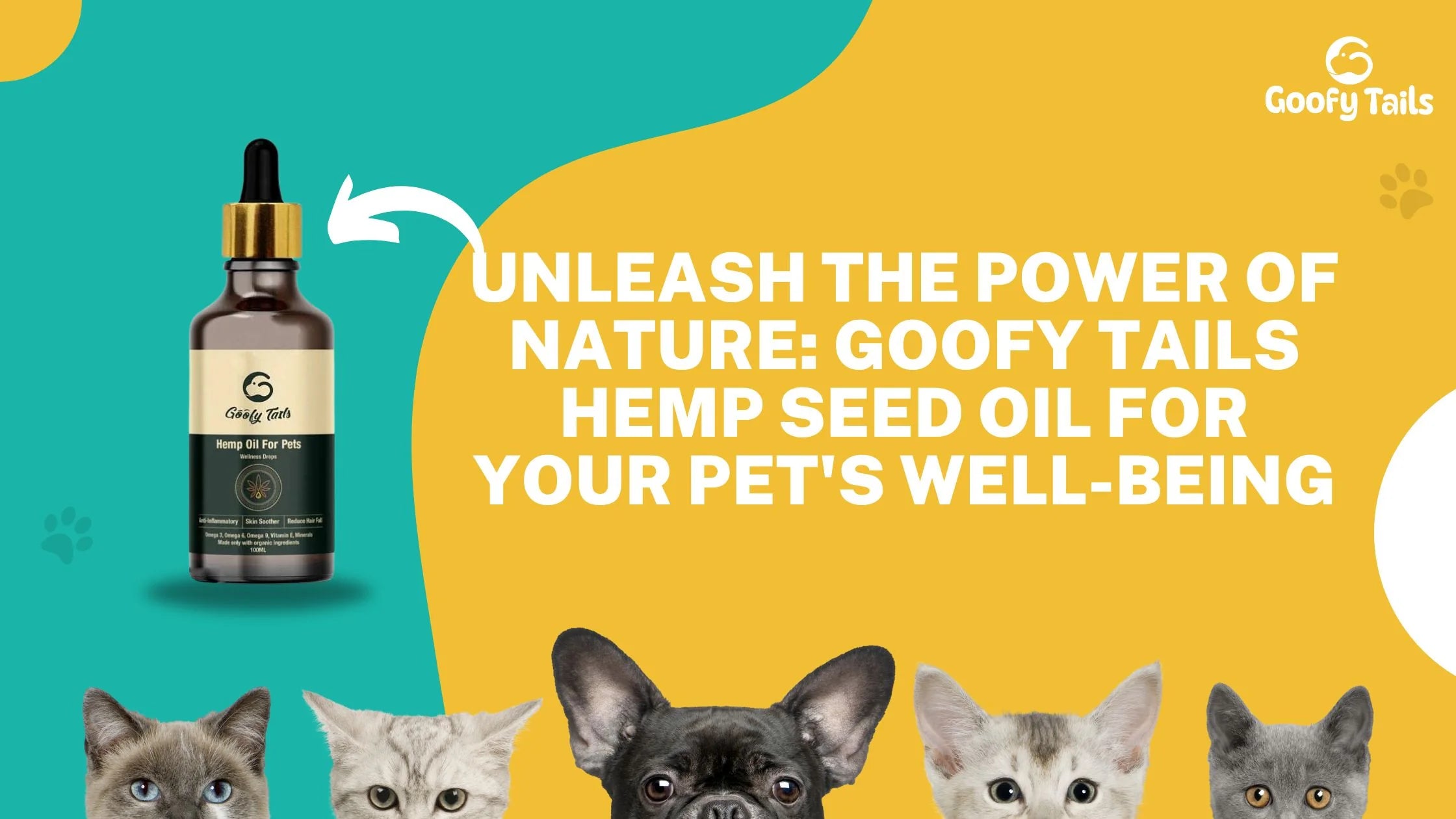 Unleash the Power of Nature: Goofy Tails Hemp Seed Oil for Your Pet's Well-Being