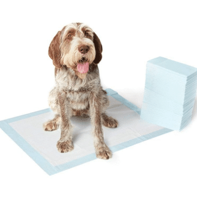 Puppy training pads near me clearance