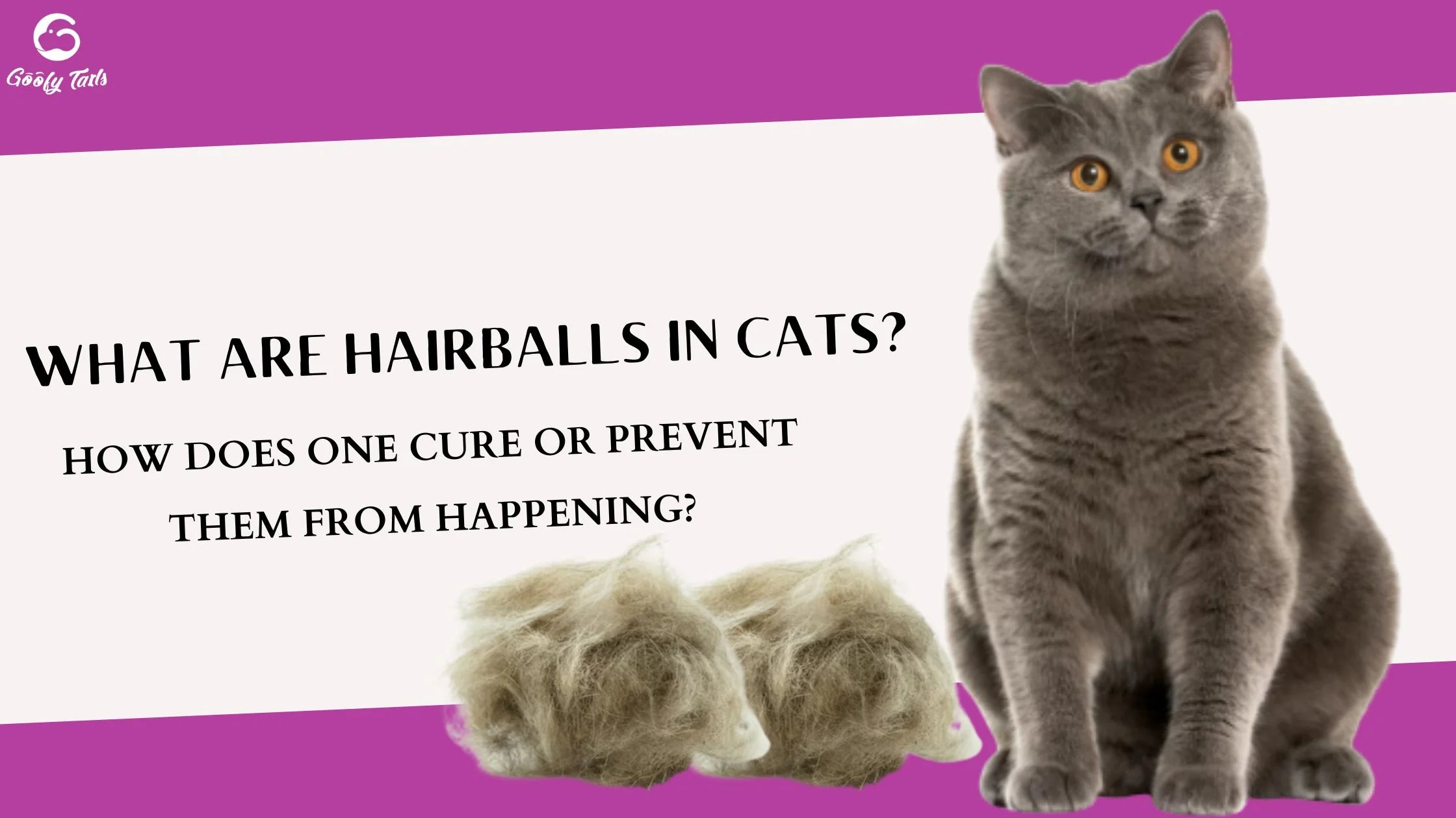 How Do You Prevent Hairballs in Cats: Expert Tips
