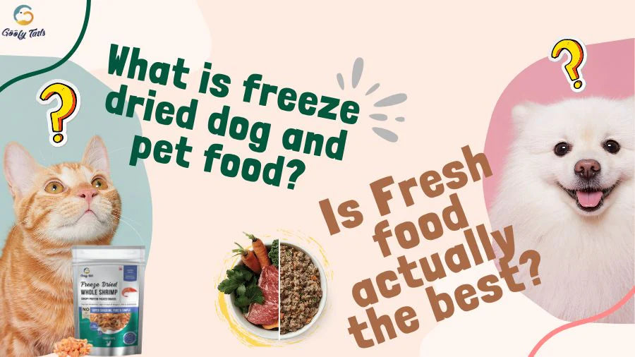 What is freeze dried dog and pet food ? Is Fresh food actually the best ?