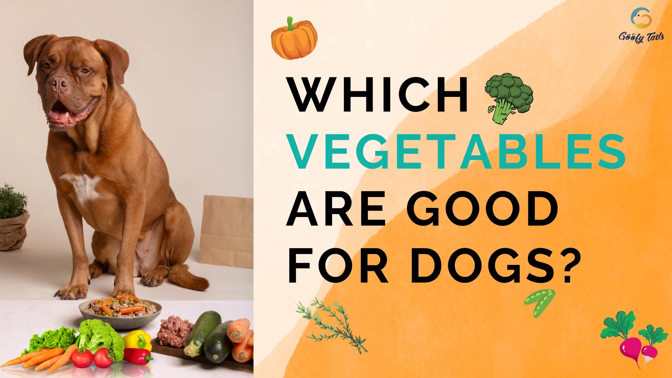 Which Vegetables are good for dogs GoofyTails
