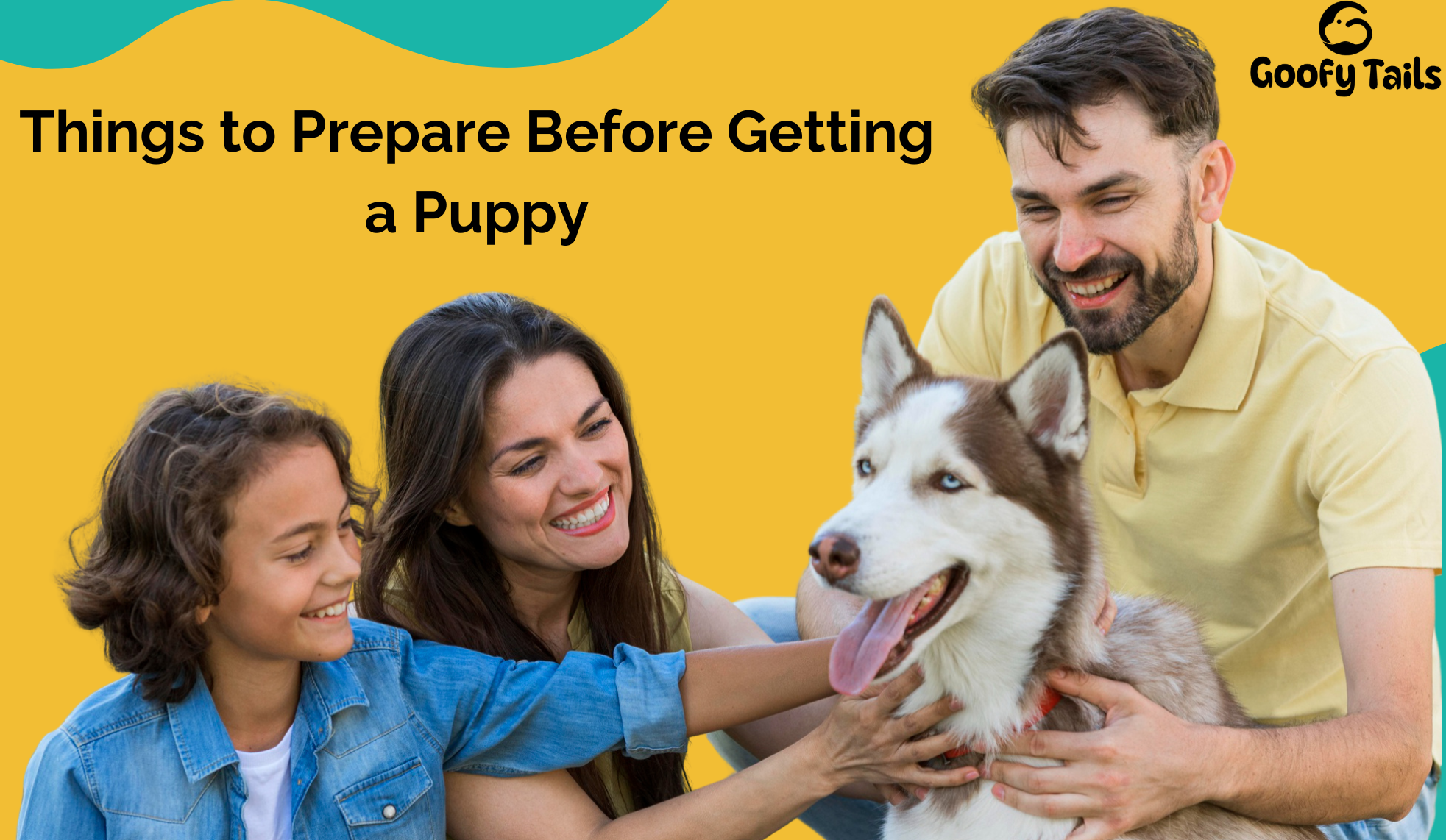 Things to Prepare Before Getting a Puppy
