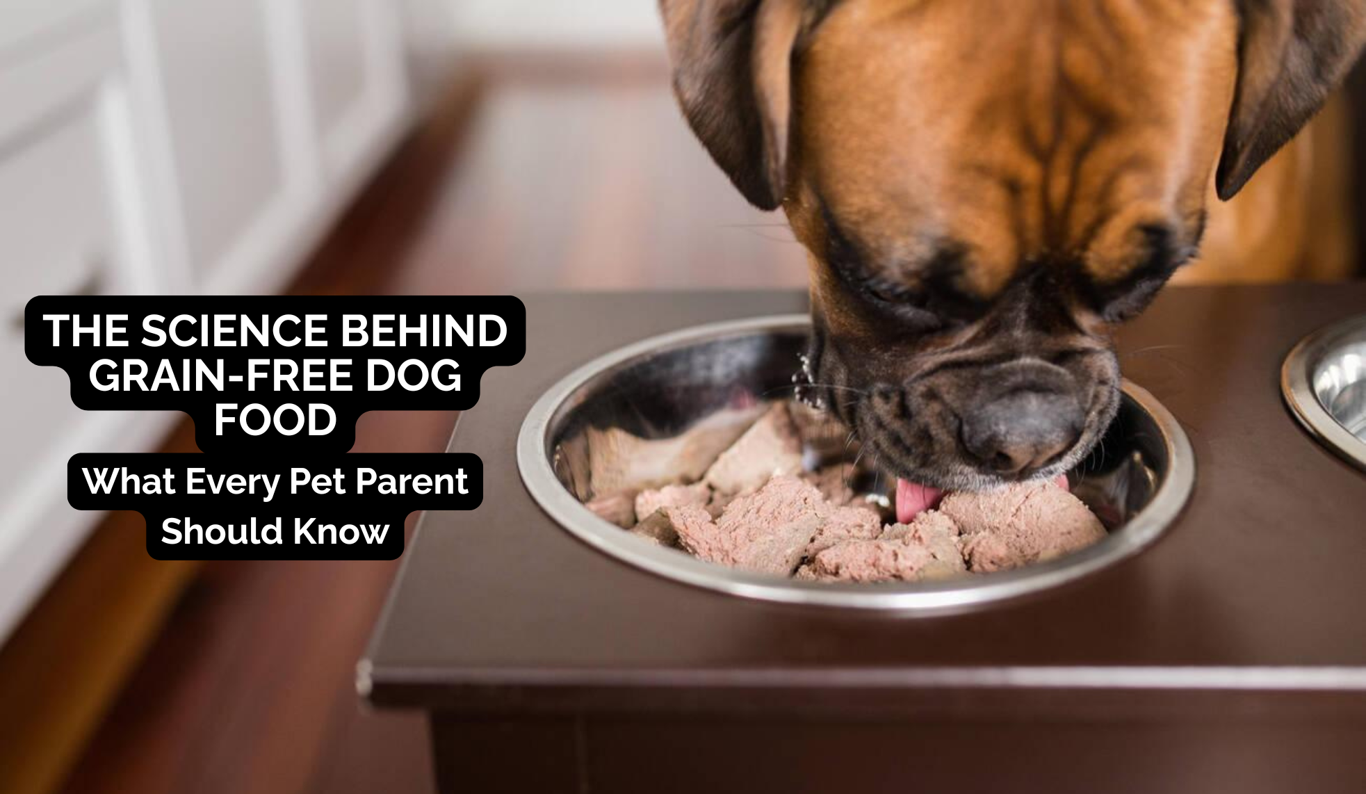 The Science Behind Grain-Free Dog Food – GoofyTails
