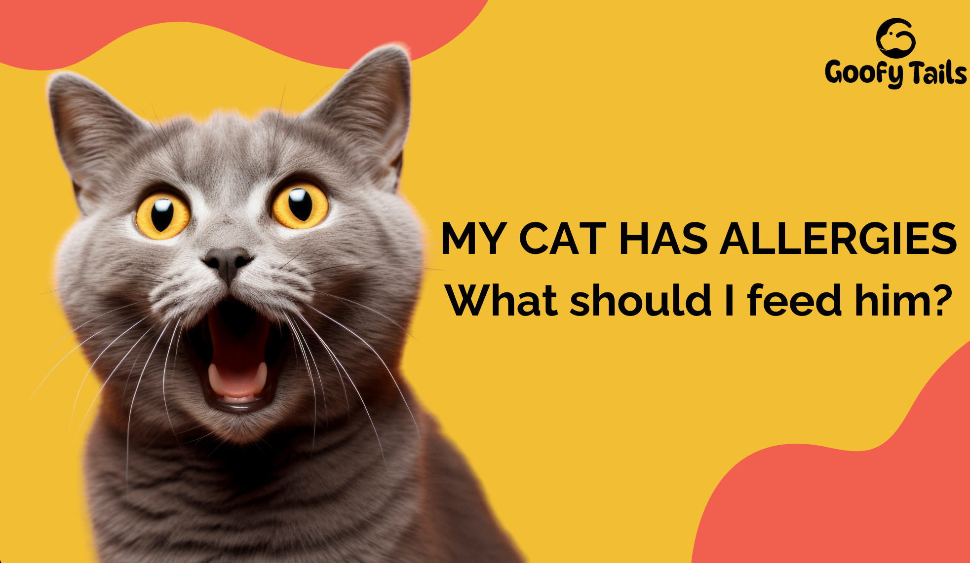 10 Safe and Gentle Food items for your Cats with Allergies