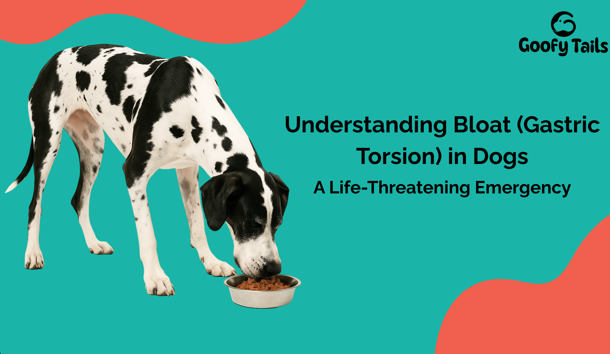 Understanding Bloat (Gastric Torsion) in Dogs: A Life-Threatening Emergency