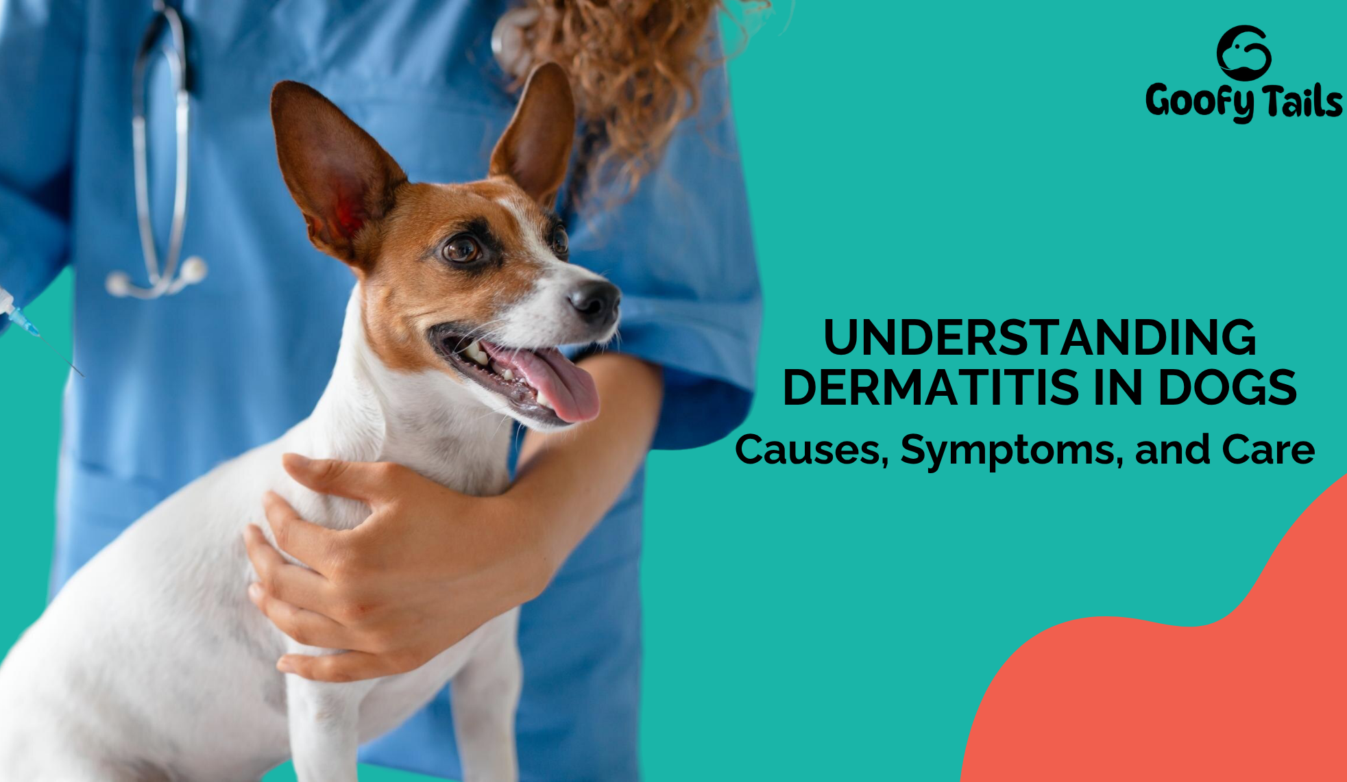 Understanding Dermatitis in Dogs: Causes, Symptoms, and Care