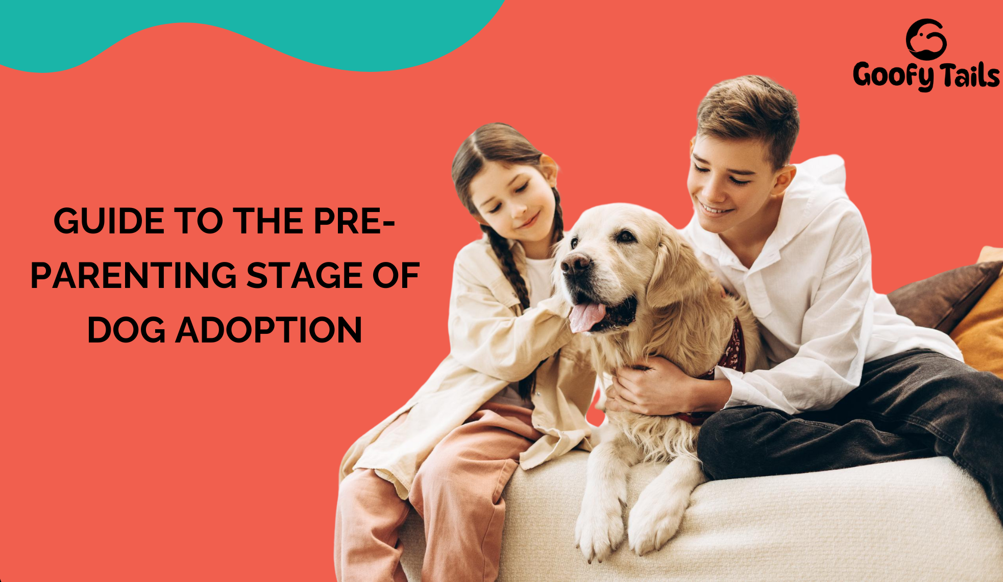 Guide to the Pre-Parenting Stage of Dog Adoption