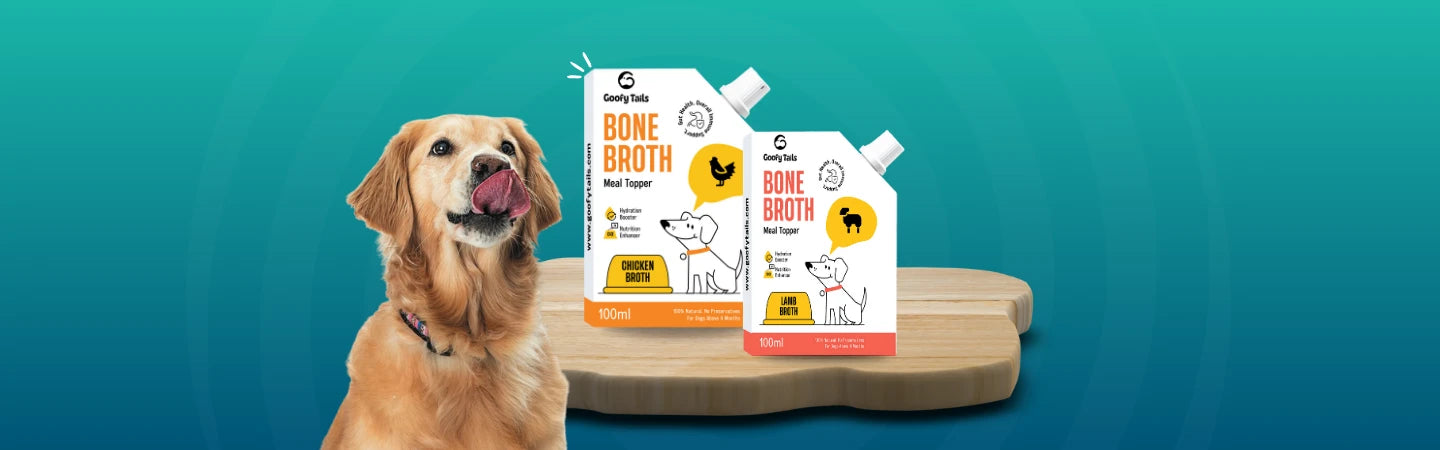 Buy India s Best Dog Food Topper Online at Best Prices GoofyTails