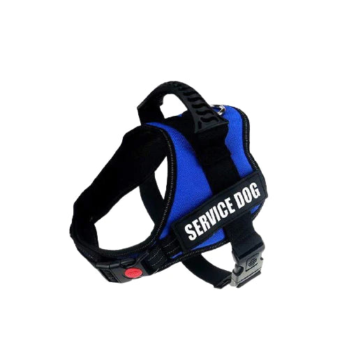 K9 clearance personalised harness