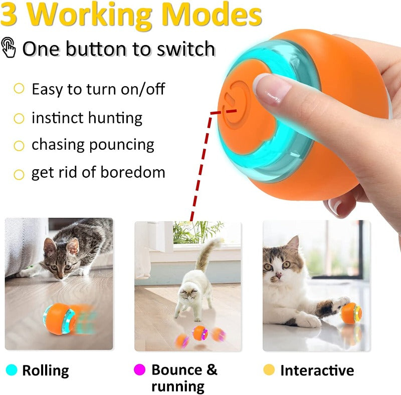 Automatic cat toy