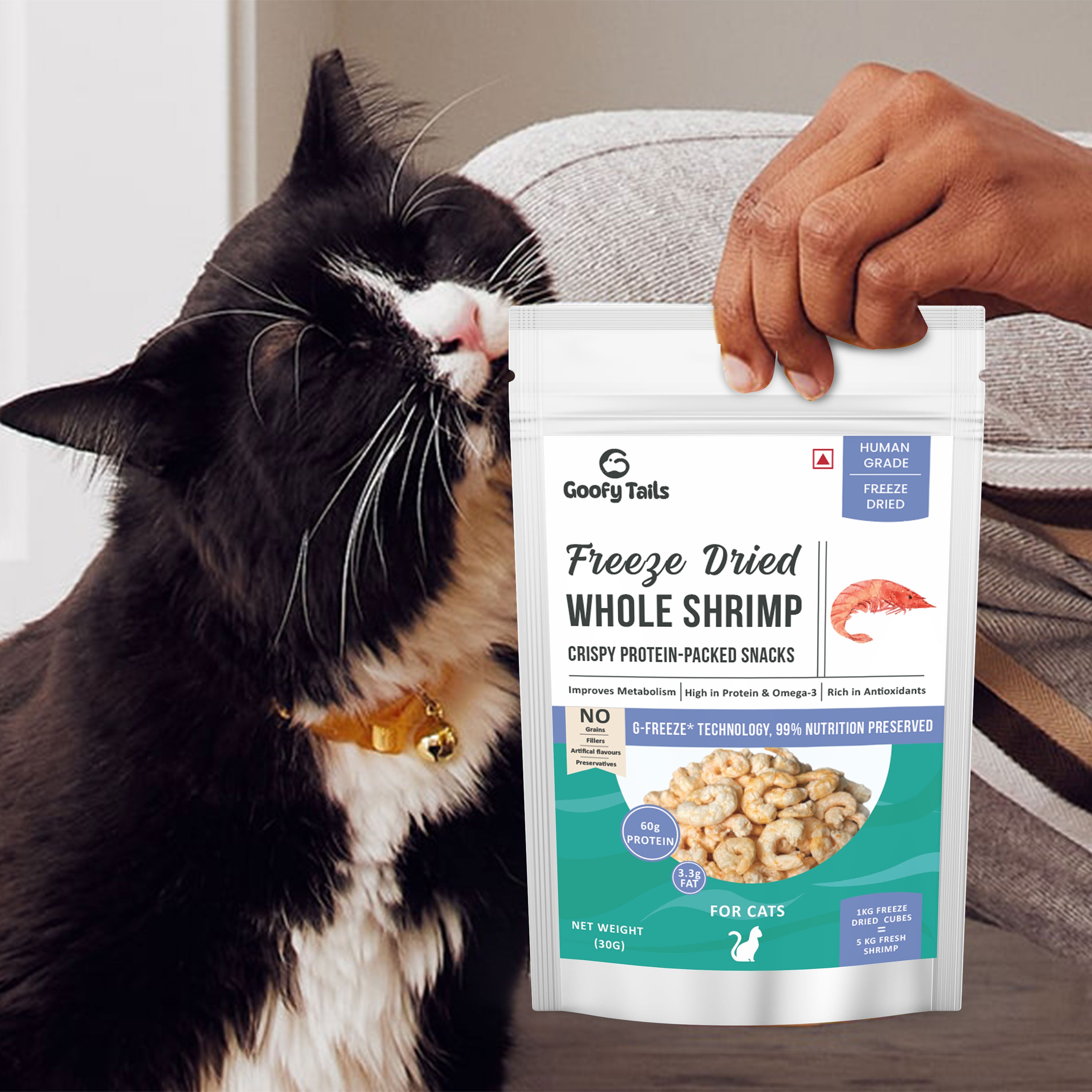 cat treat