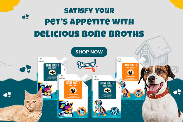 Bone Broth for Dogs and cats mobile banner from goofytails.com
