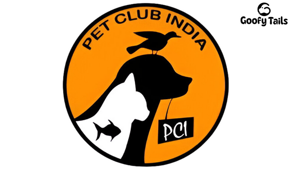 The Story of Pet Club India: The Seed That Grew Into Goofy Tails