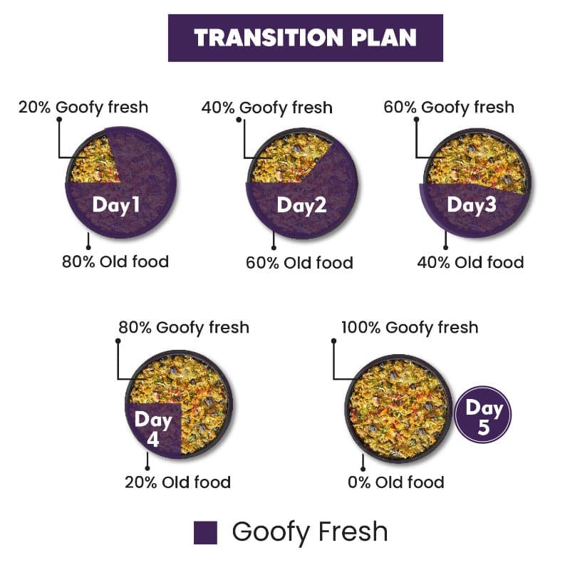 Goofy Tails Fresh Food Transition Plan (7623037026454)