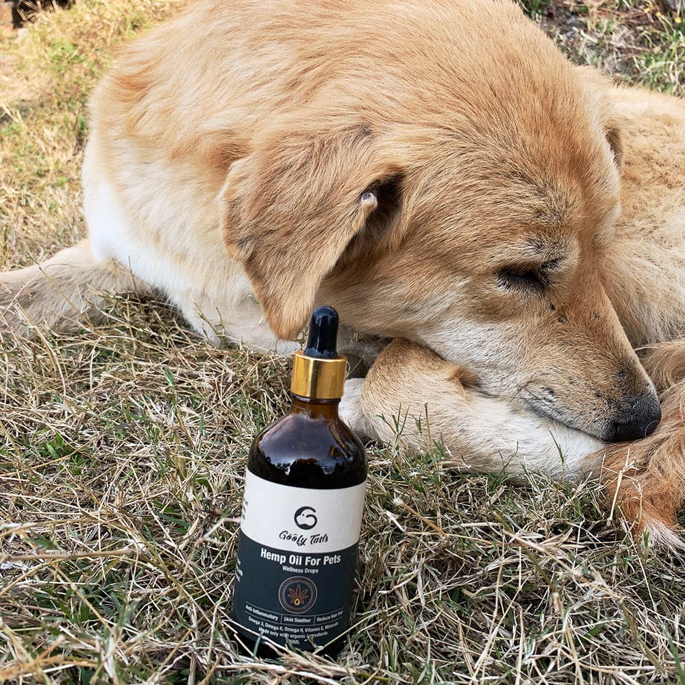 Hemp Seed oil (7368317141142)