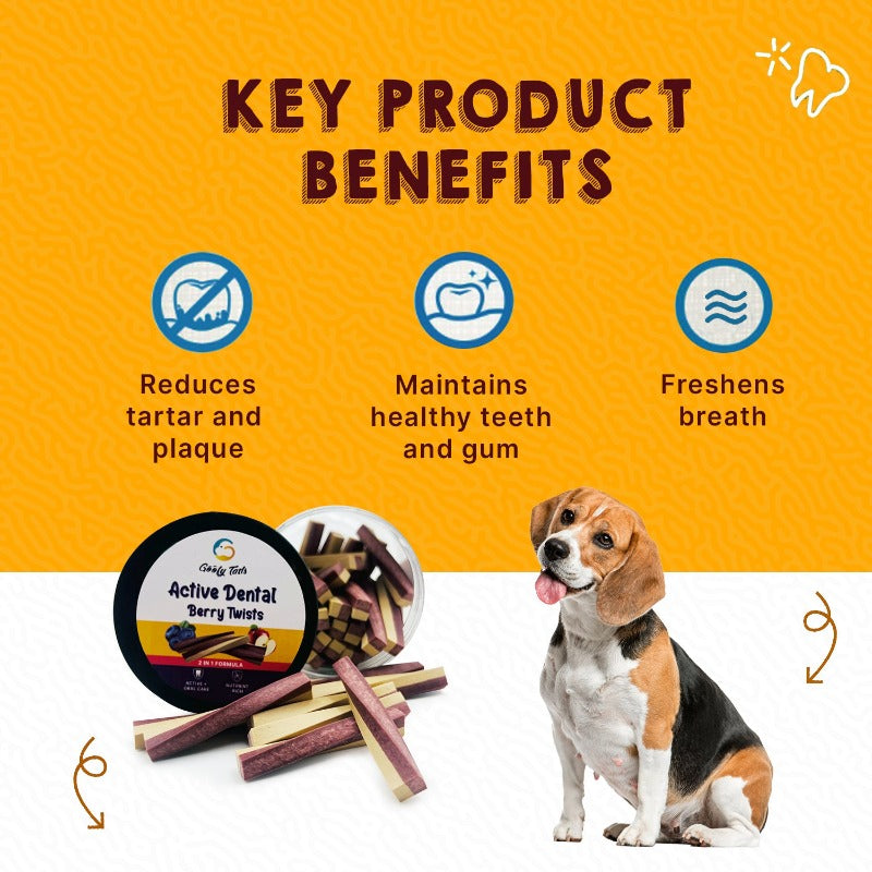 Treats for dogs