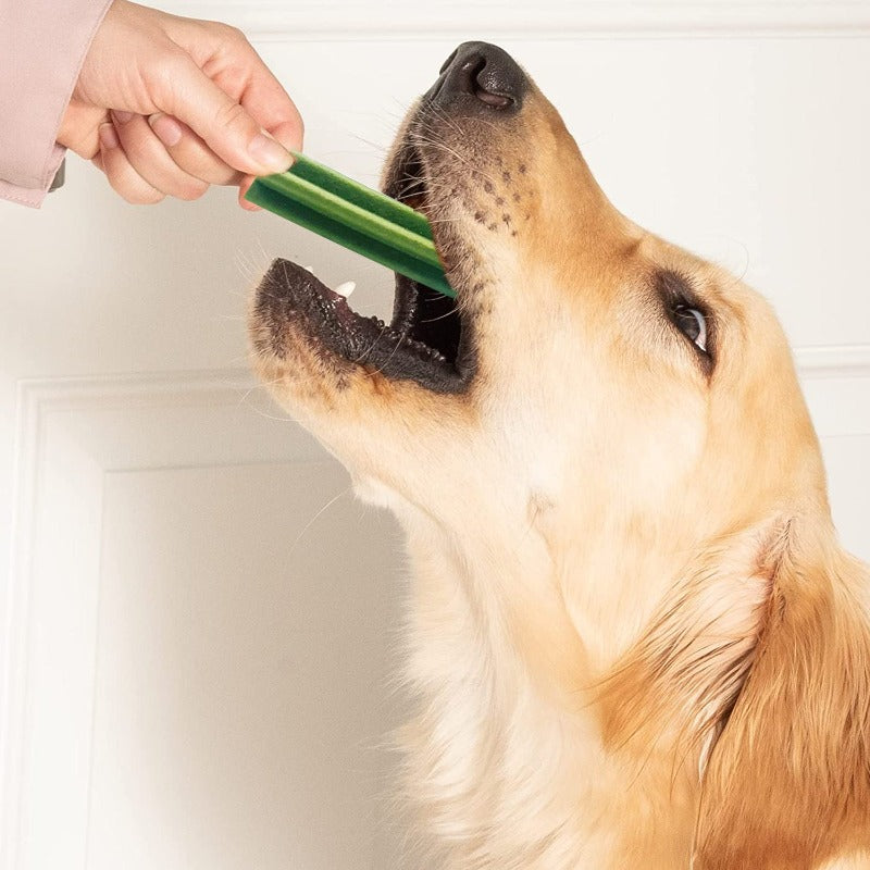 dog dental sticks