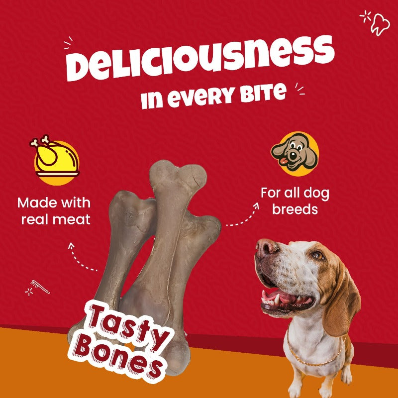 Beagle dog showing tasty bones for dogs dental health