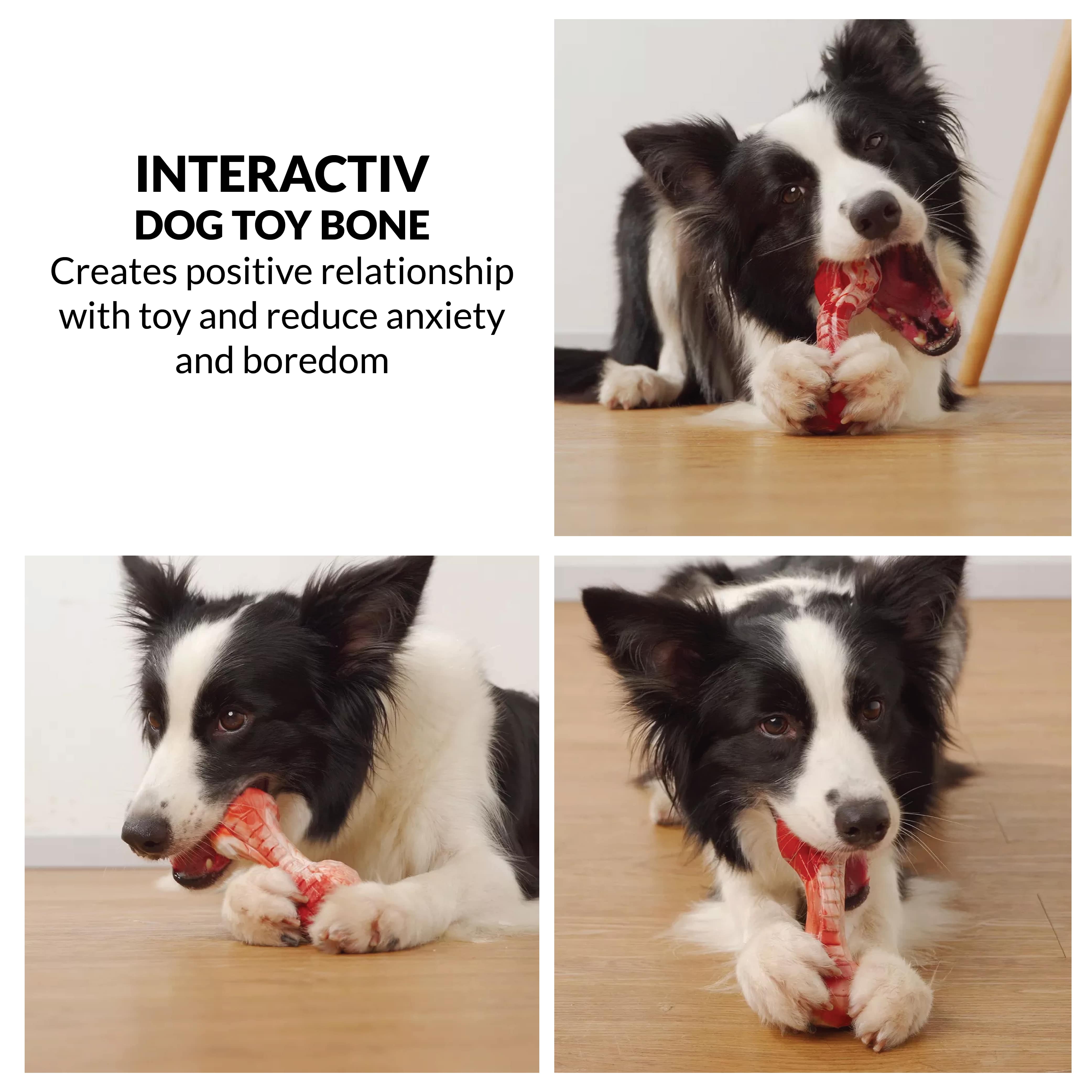 dog chew toys for aggressive chewers (7392819708054)