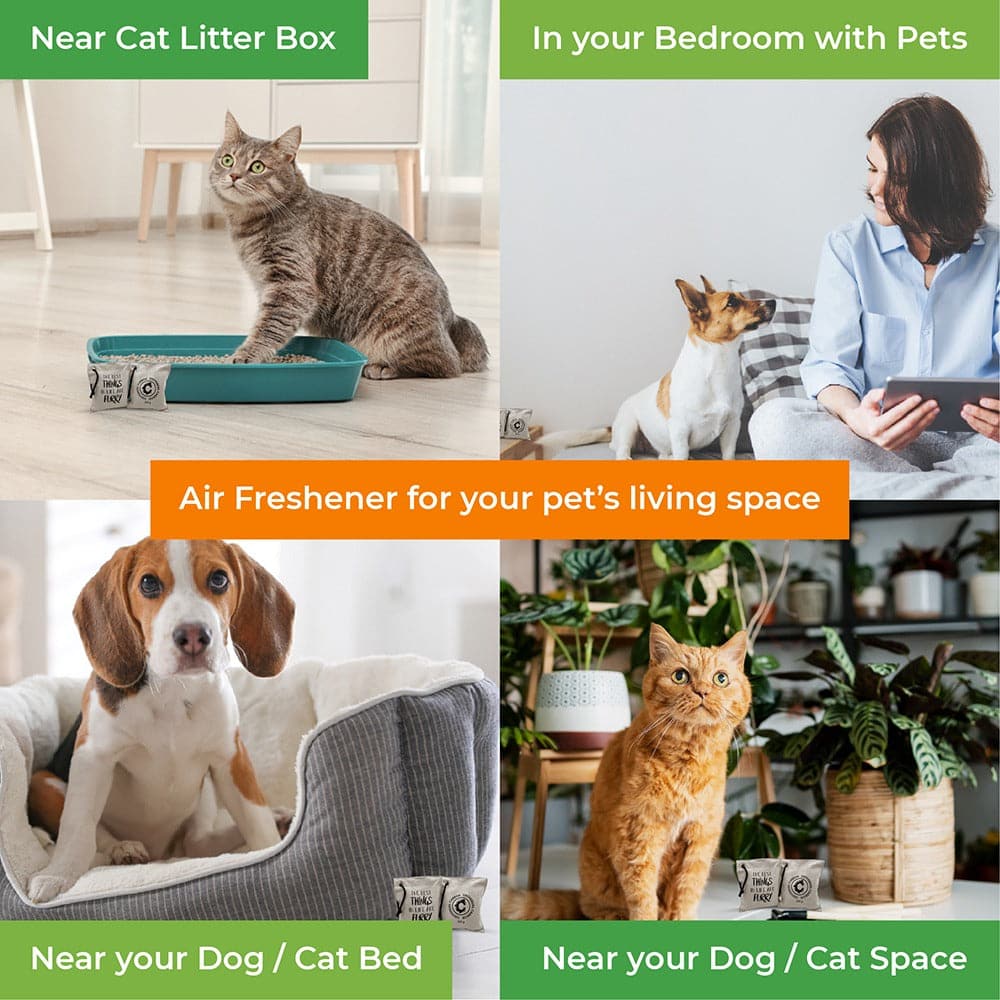 Goofy Tails Activated Charcoal (Ultra Adsorb) Fresheners for Pets and Pet owners | Deodorise - Dehumidify- Freshens (7168196575382)