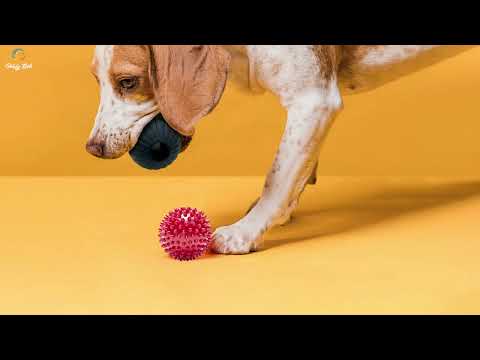 Goofy Tails Rubber Chew Toy Combo (Hole Ball + Rubber Bone) (Red,Large)