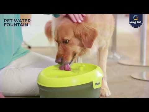 a YouTube video of dog water fountain dispenser.