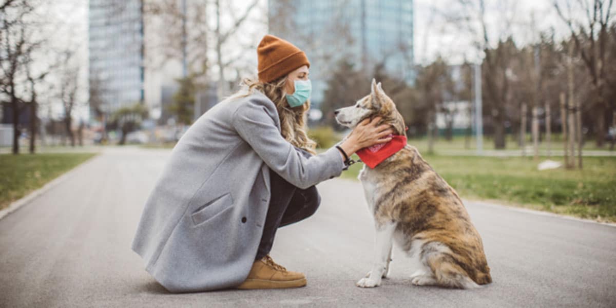 Taking Care of your Pets in the Middle of a Pandemic