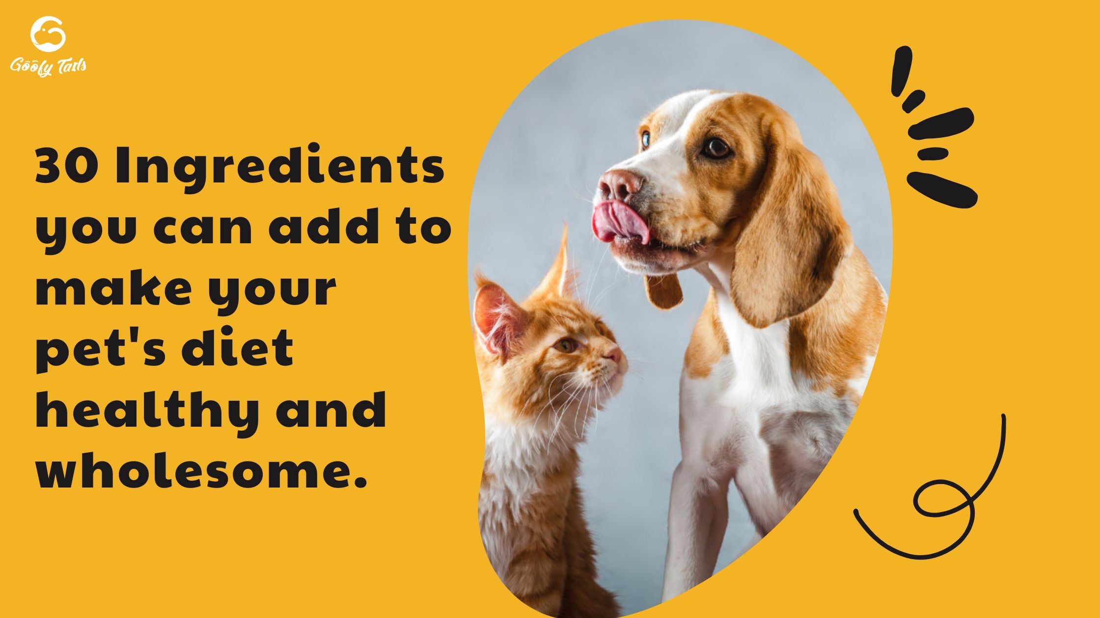 30 Ingredients you can add to make your pet's diet healthy and wholesome