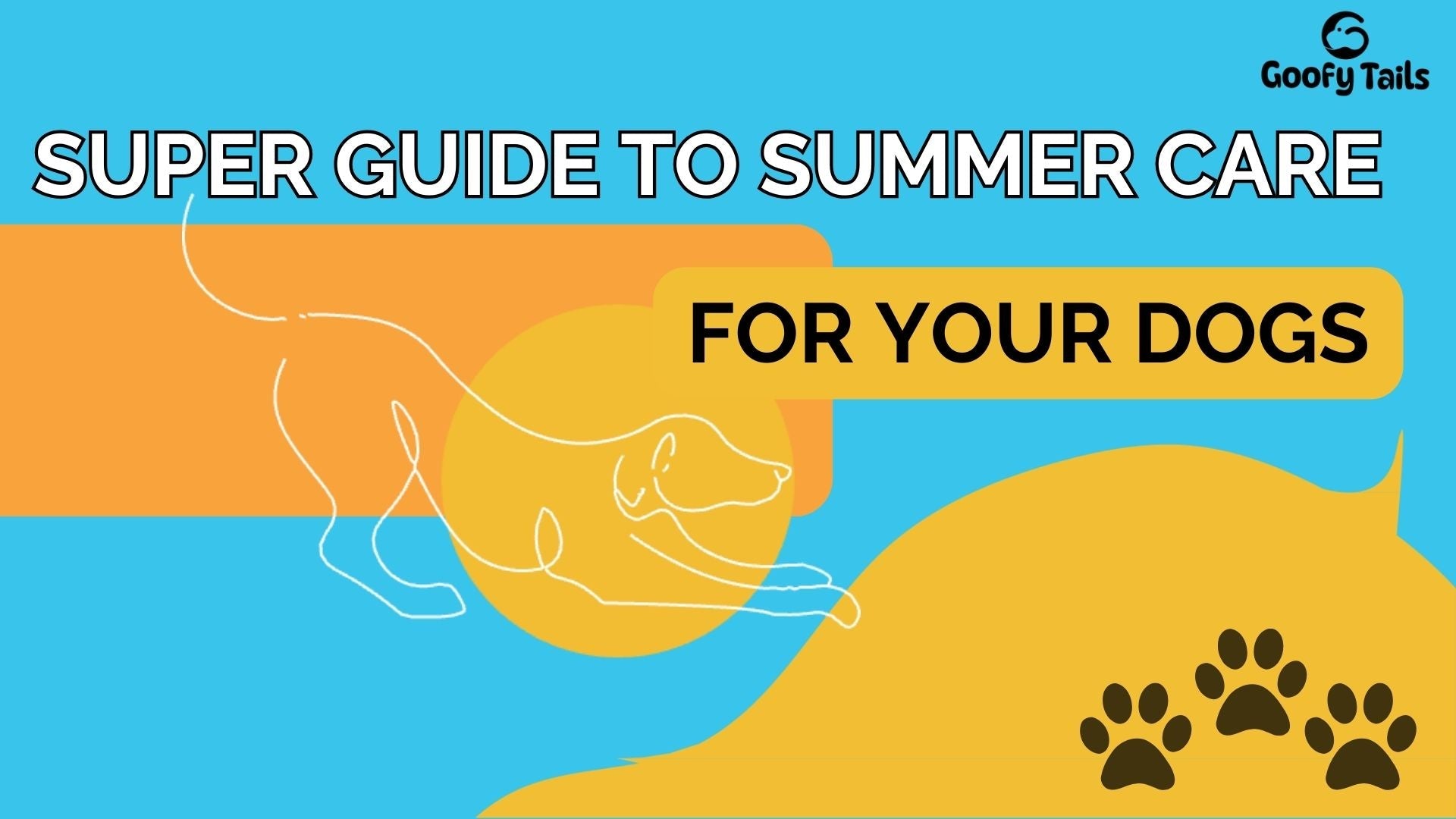 Super Guide to Summer Care for Dogs: Making Sure Your Pooch Stays Safe and Happy Under the Sun
