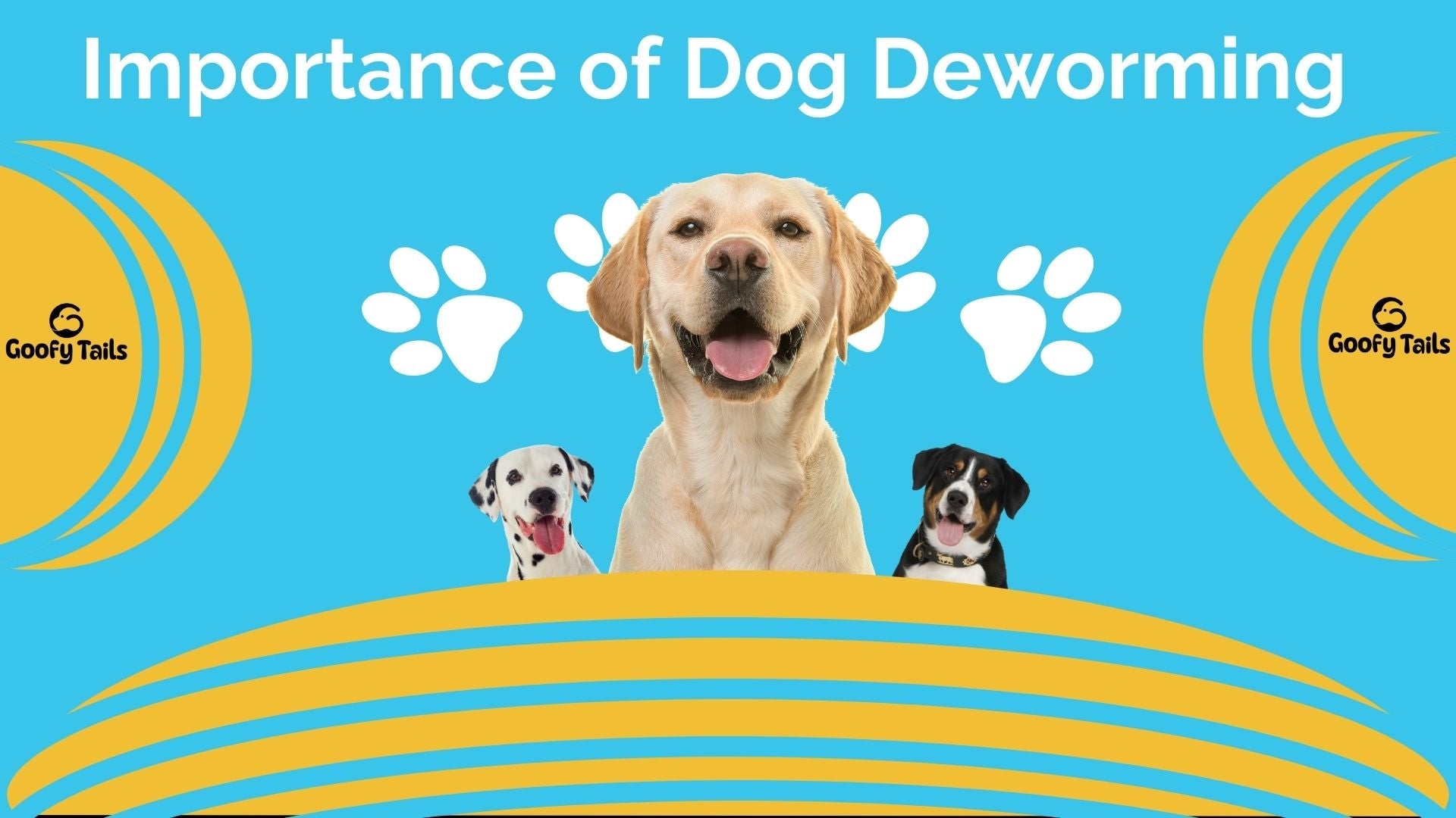 The Importance of Dog Deworming: Keeping Your Furry Friend Healthy