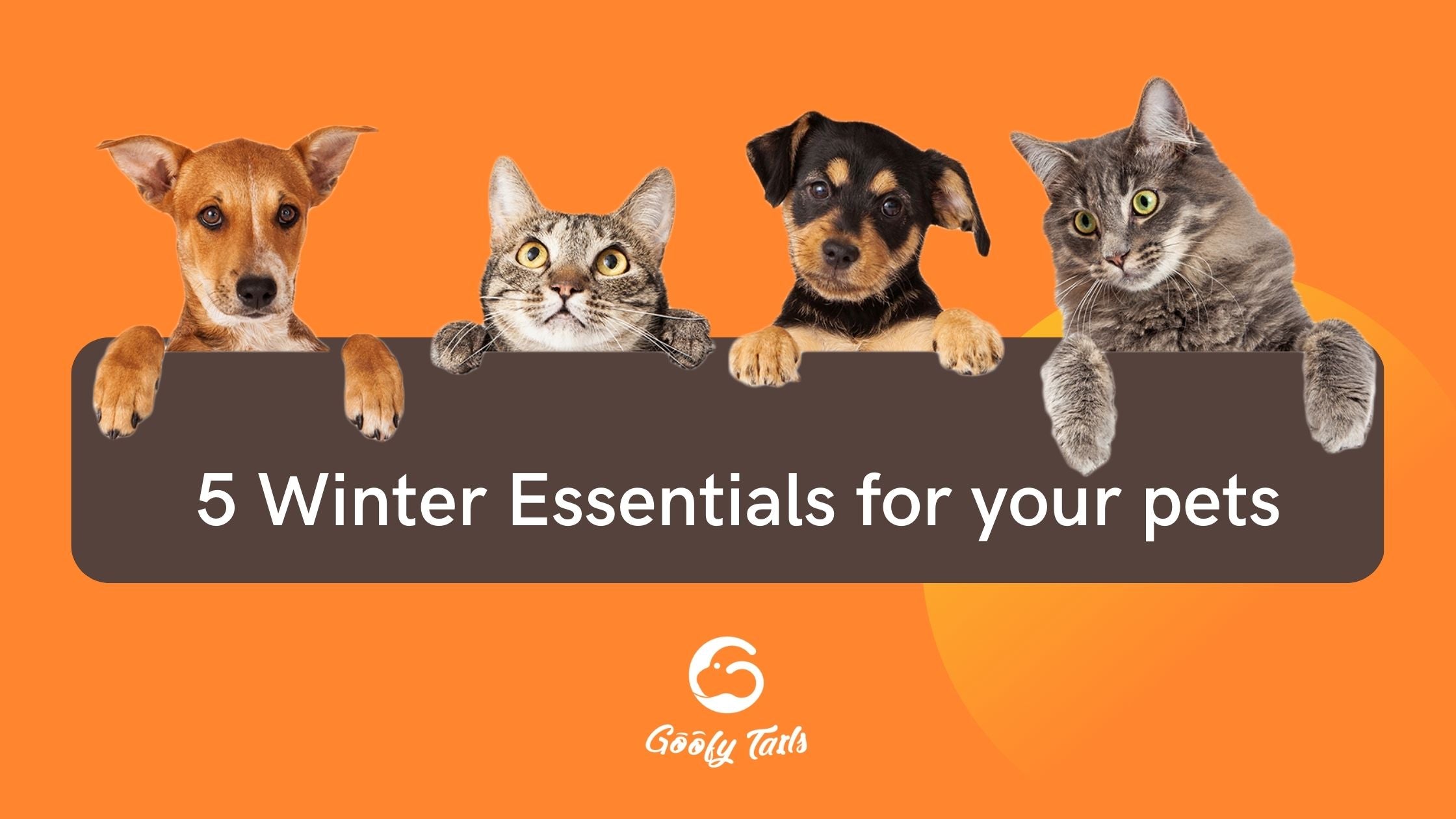 5 Winter Essentials for your pets – GoofyTails