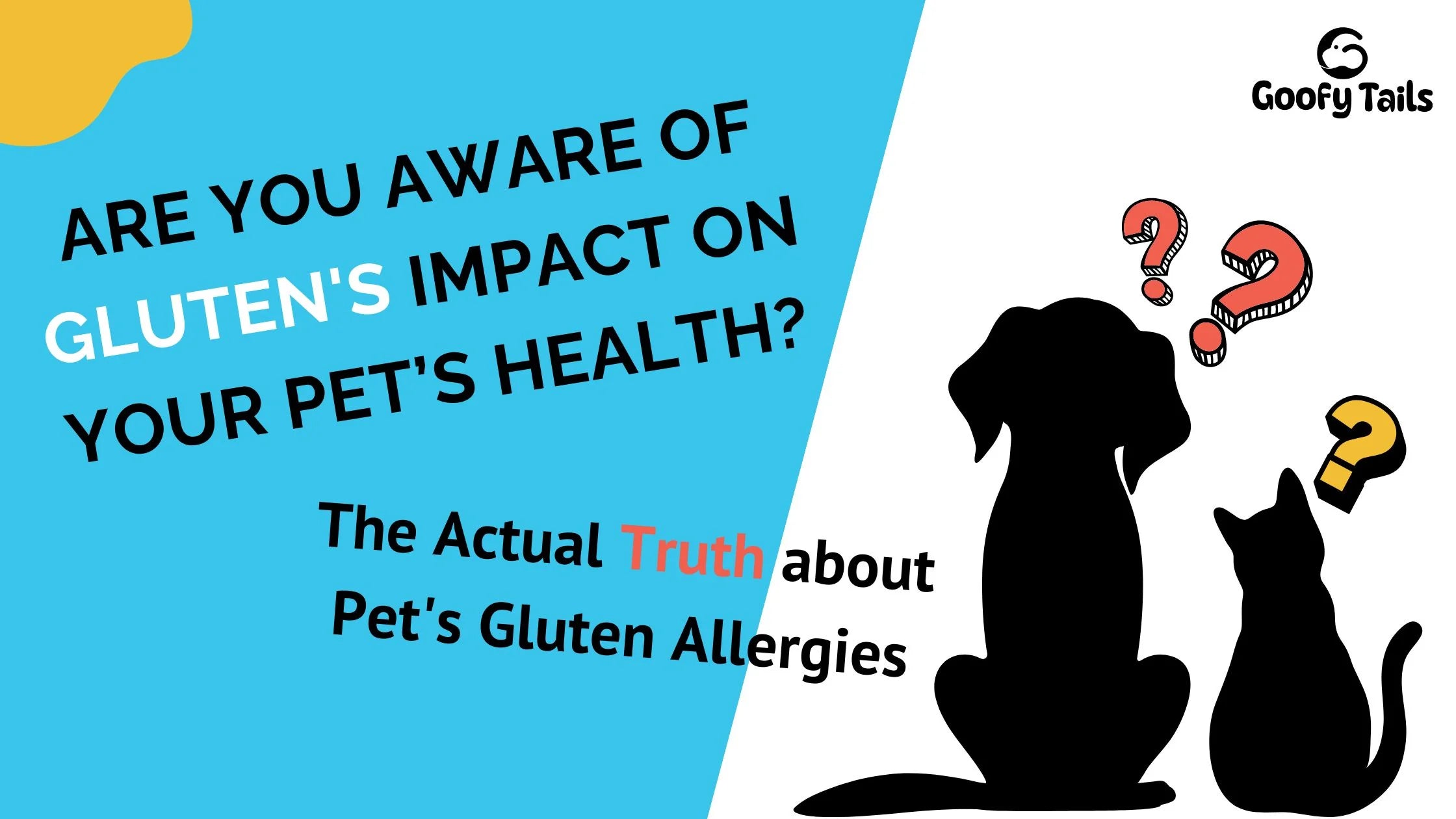 Are You Aware of Gluten's Impact on Your Pet’s health? from goofytails.com