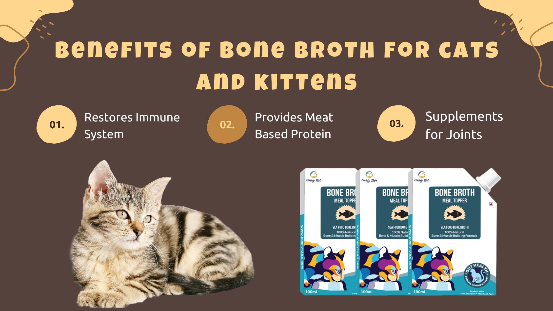 Benefits of Bone Broth for cats and kittens