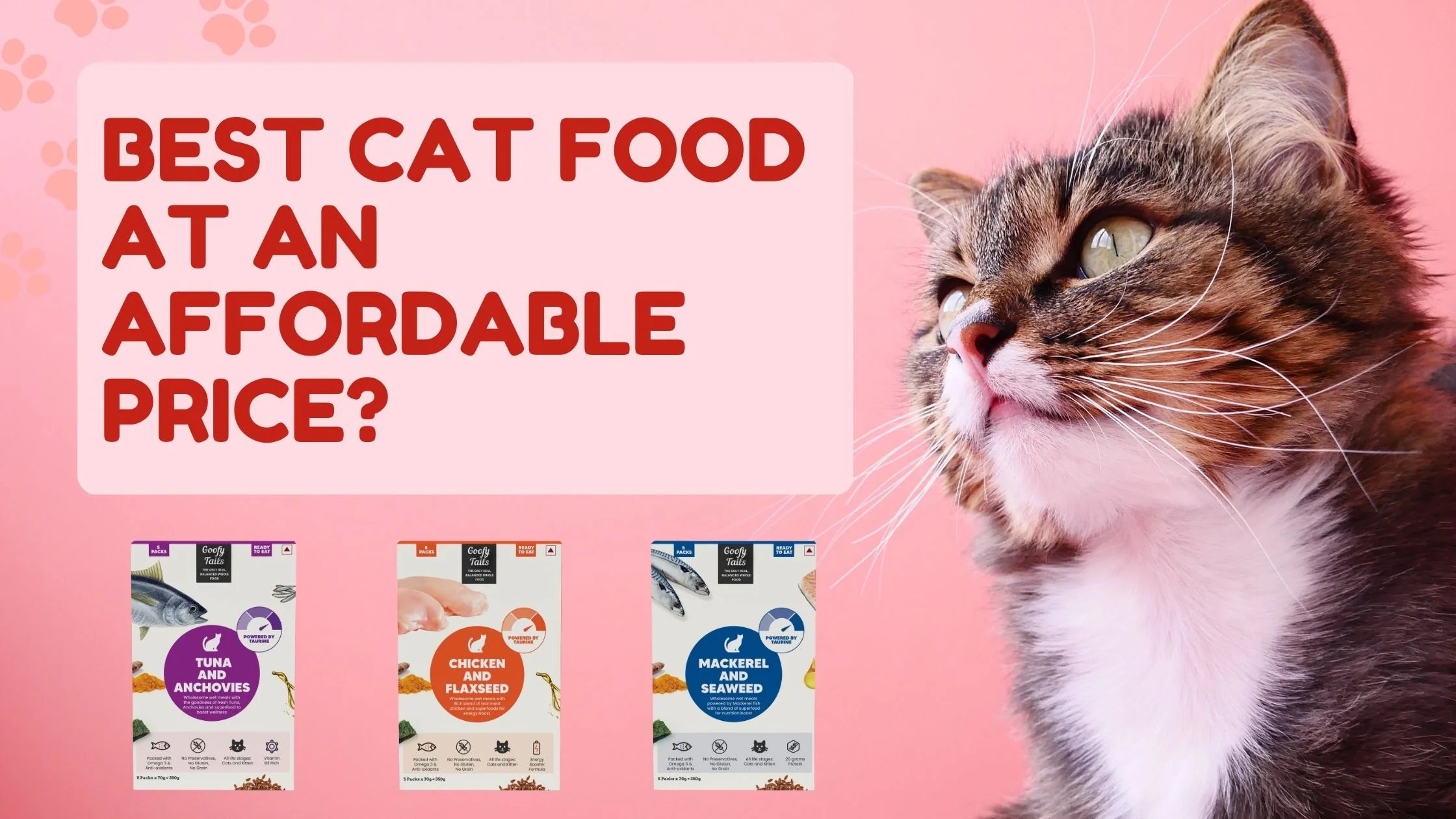 Best cat food at an affordable price?