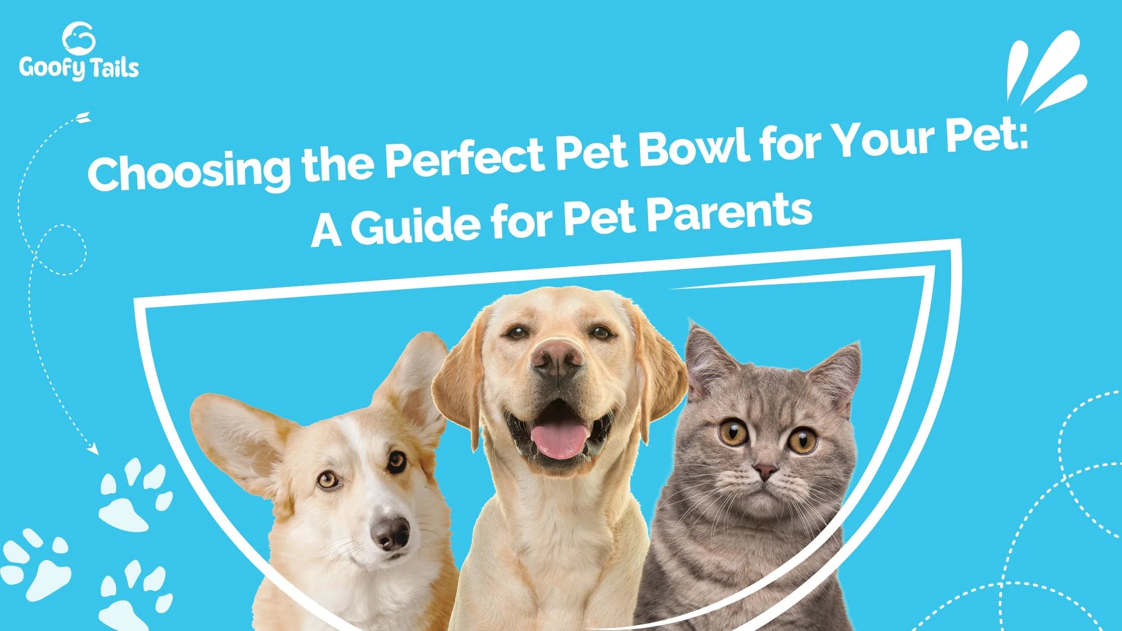 Choosing the Perfect Pet Bowl for Your Pet: A Guide for Pet Parents - Blog from goofytails.com