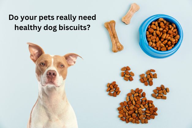Do your pets really need healthy dog biscuits