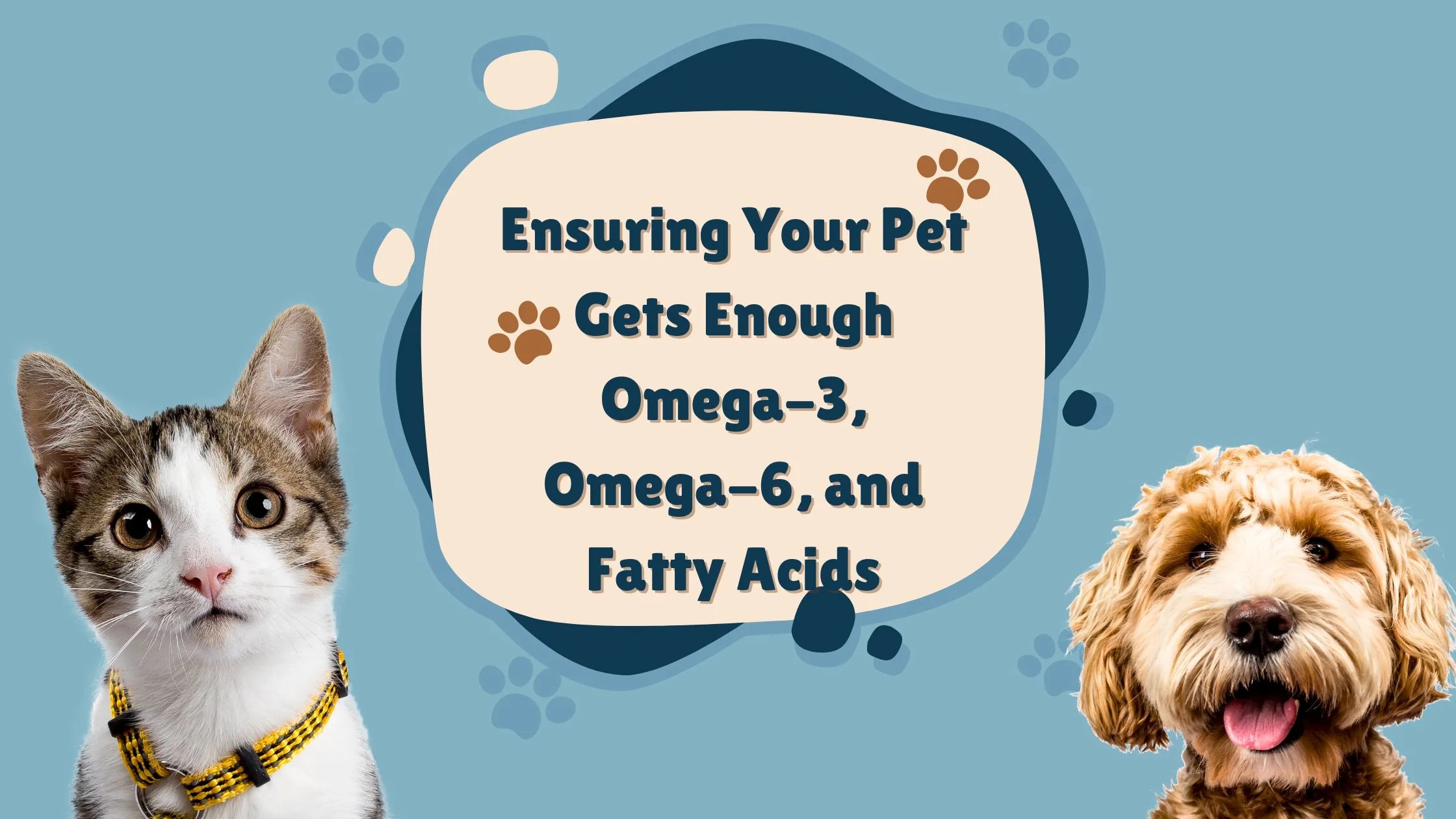 Ensuring Your Pet Gets Enough Omega-3, Omega-6, and Fatty Acids - Goofy Tails
