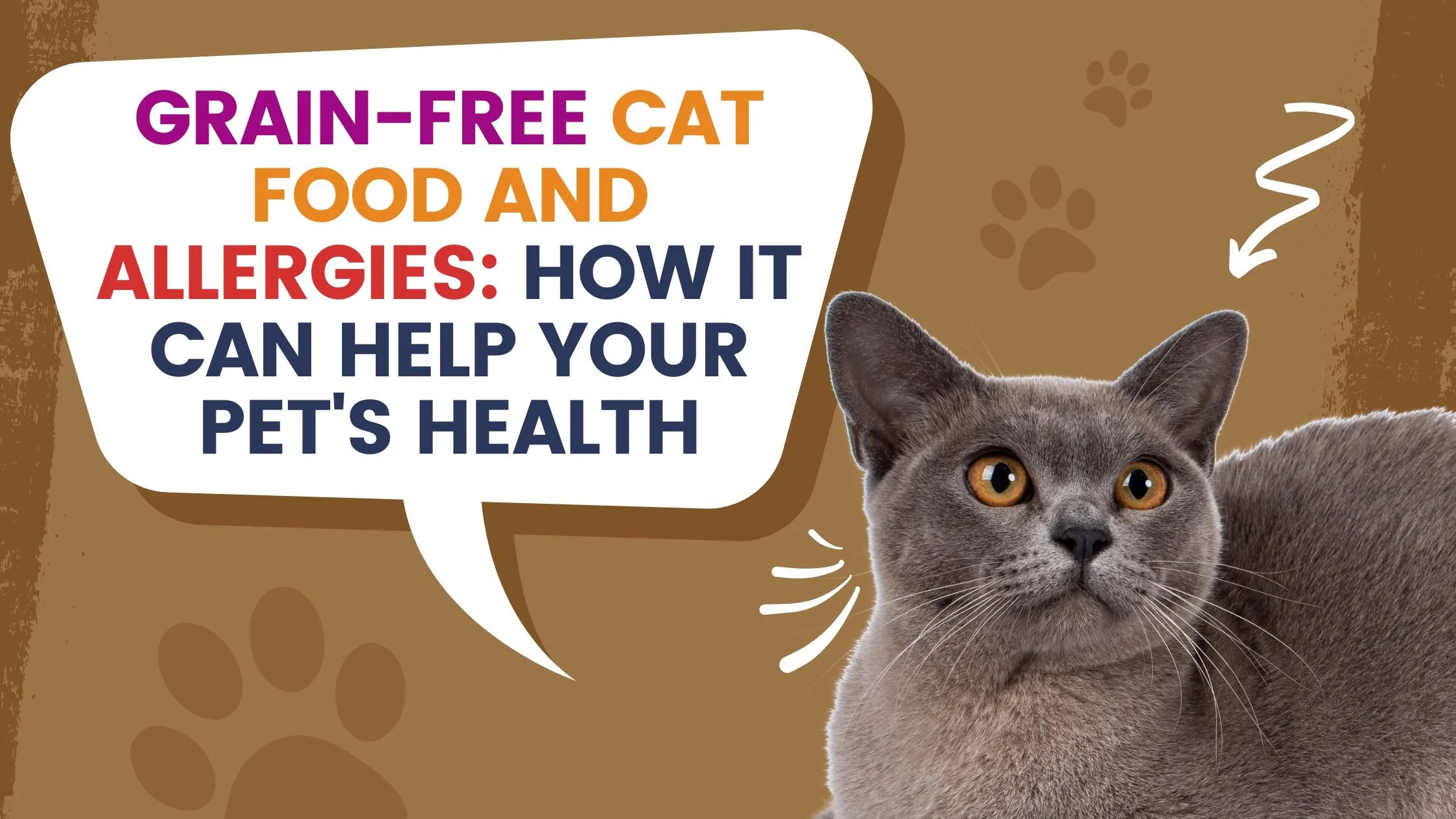Grain-Free Cat Food and Allergies: How it Can Help Your Pet's Health