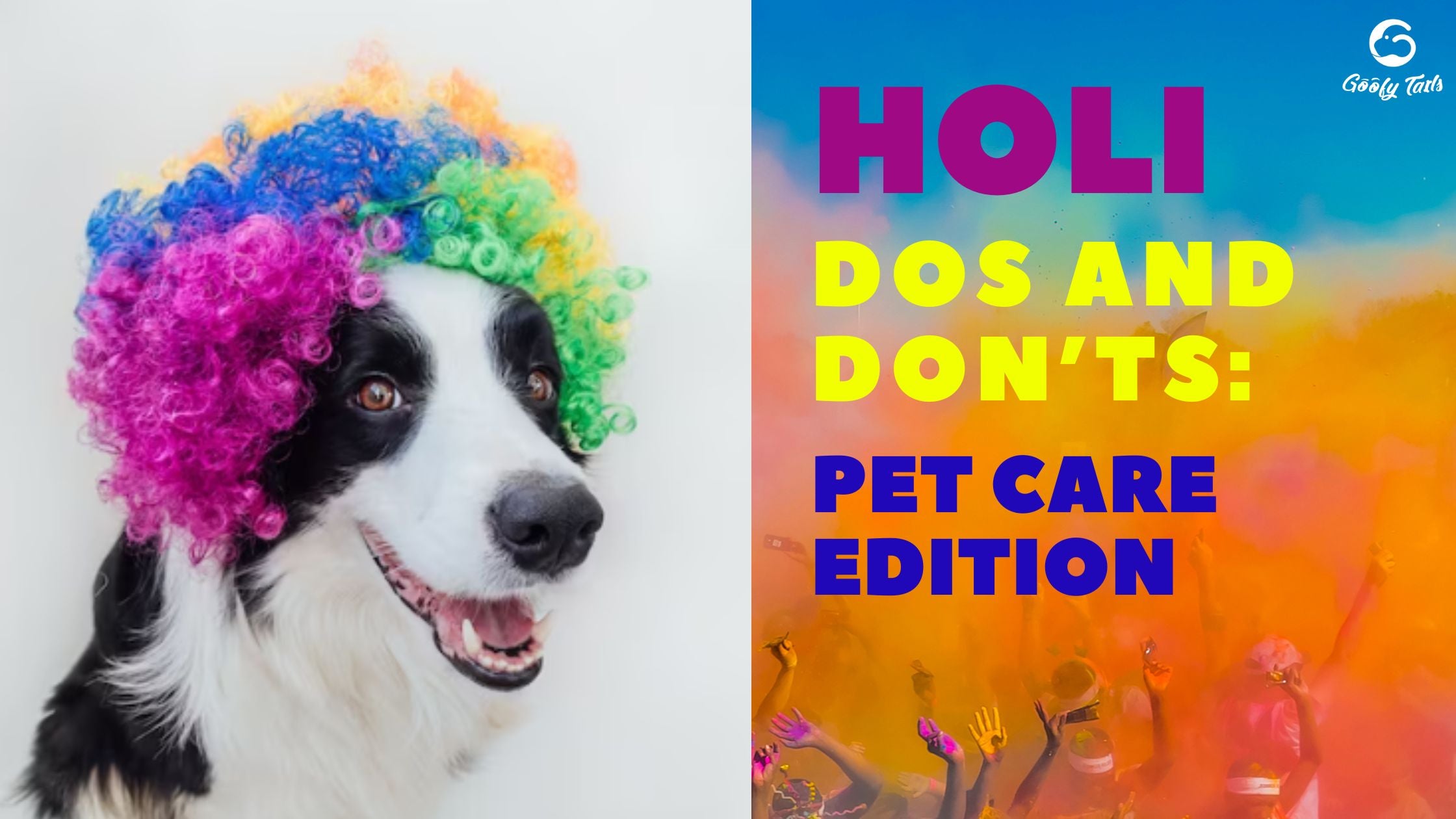Holi Dos and Don’ts: Pet Care Edition