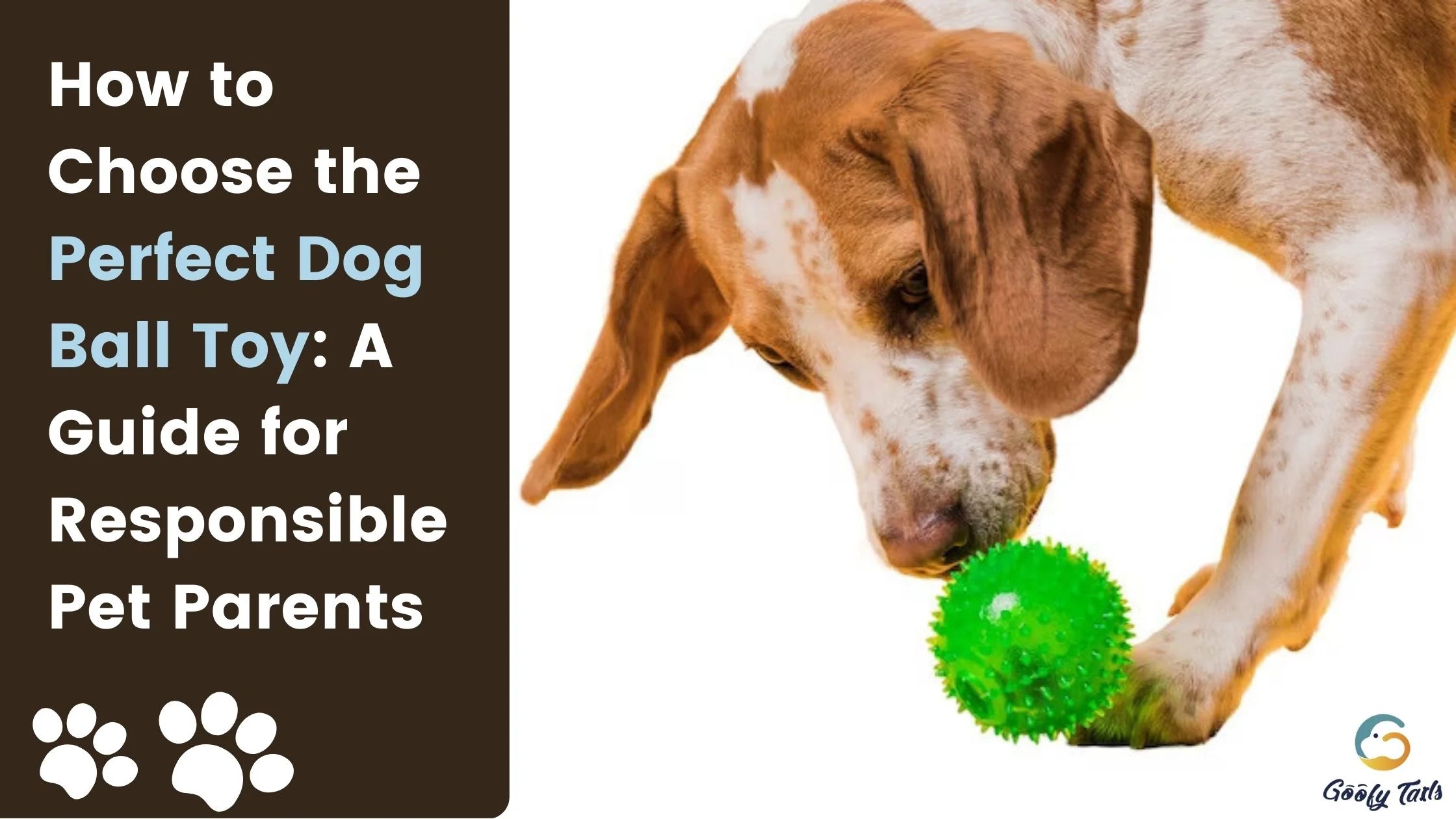 How to Choose the Perfect Dog Ball Toy: A Guide for Responsible Pet Parents