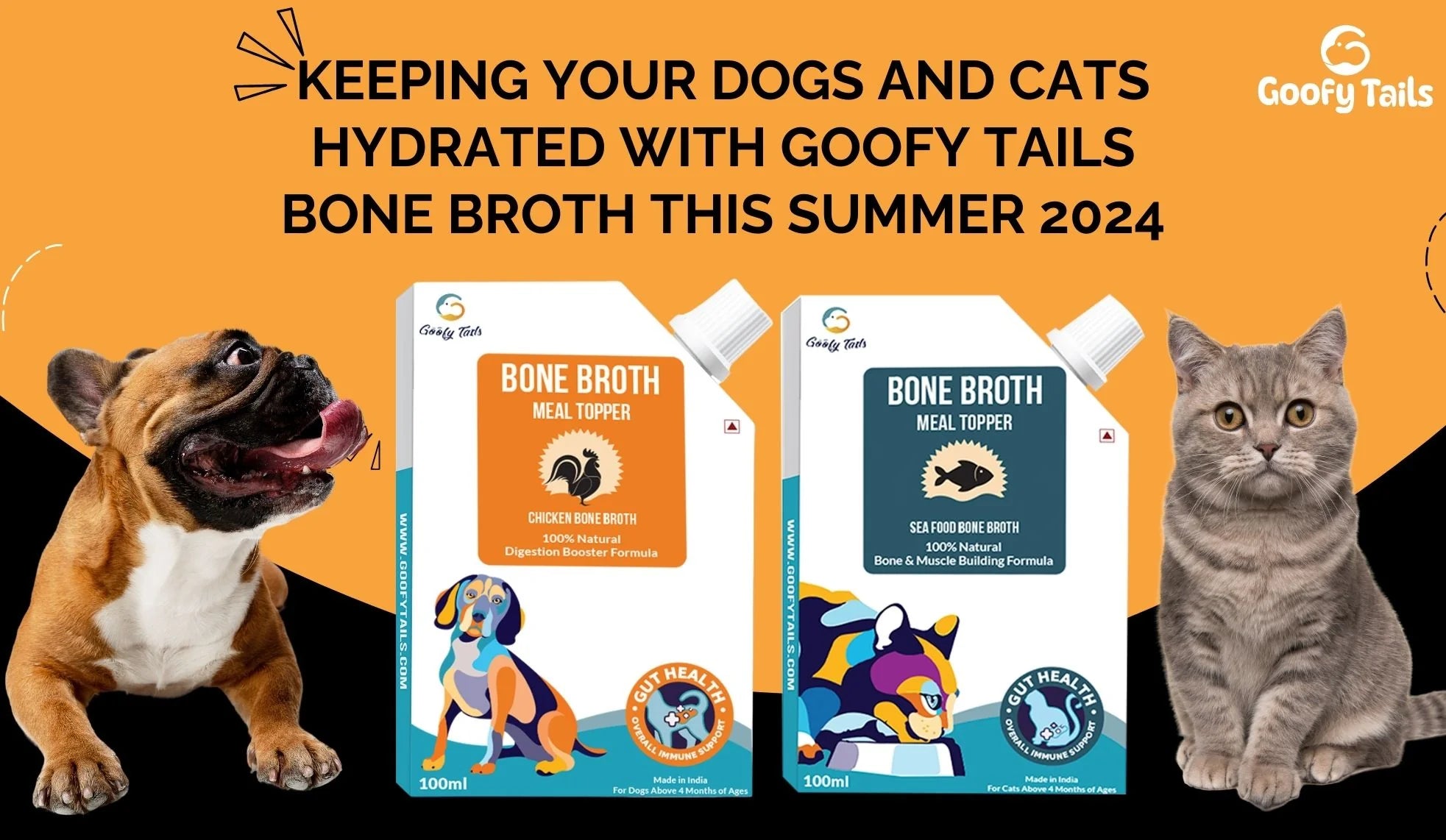 Keeping Your Dogs and Cats Hydrated with Goofy Tails Bone Broth This Summer 2024
