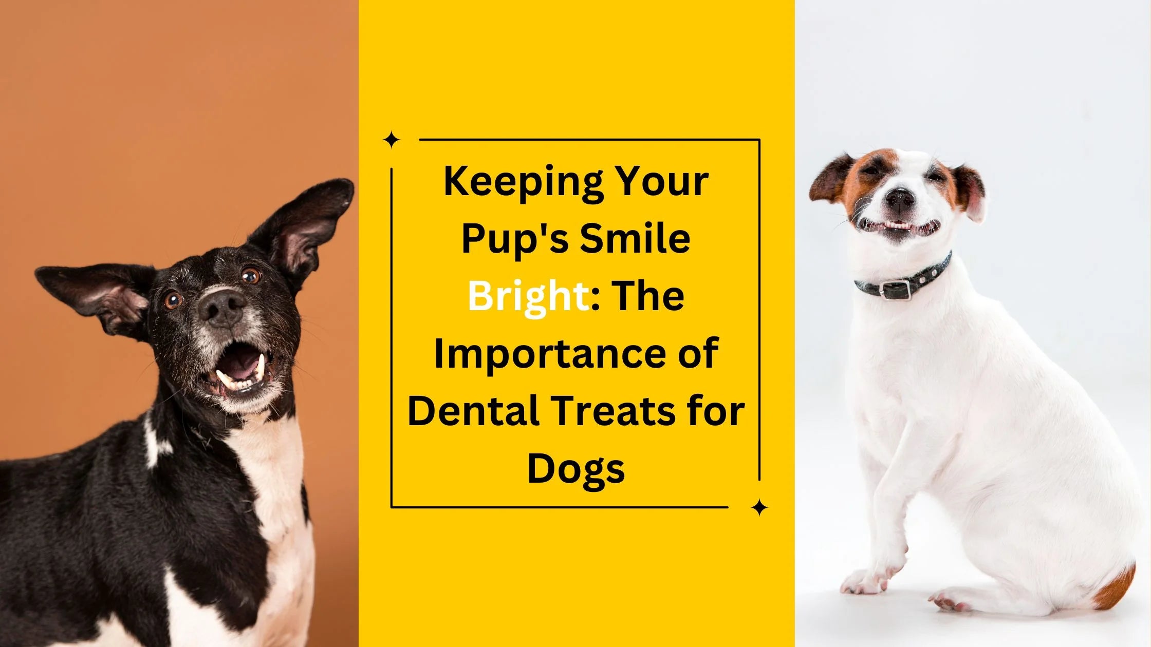 Keeping Your Pup's Smile Bright: The Importance of Dental Treats for Dogs