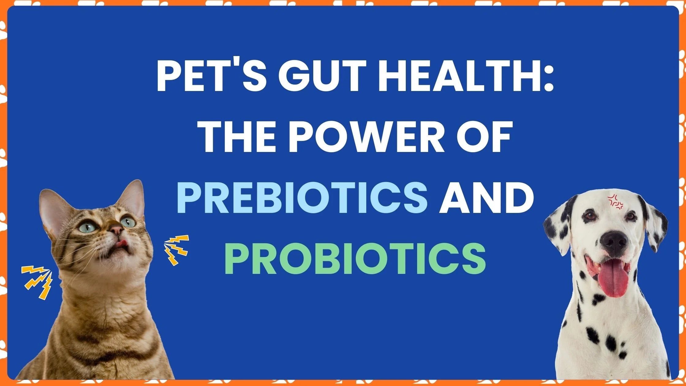 Pet's Gut Health: The Power of Prebiotics and Probiotics