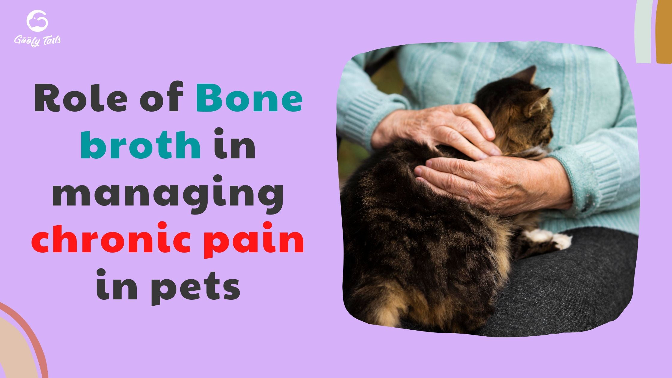 Role of Bone broth in managing chronic pain in pets