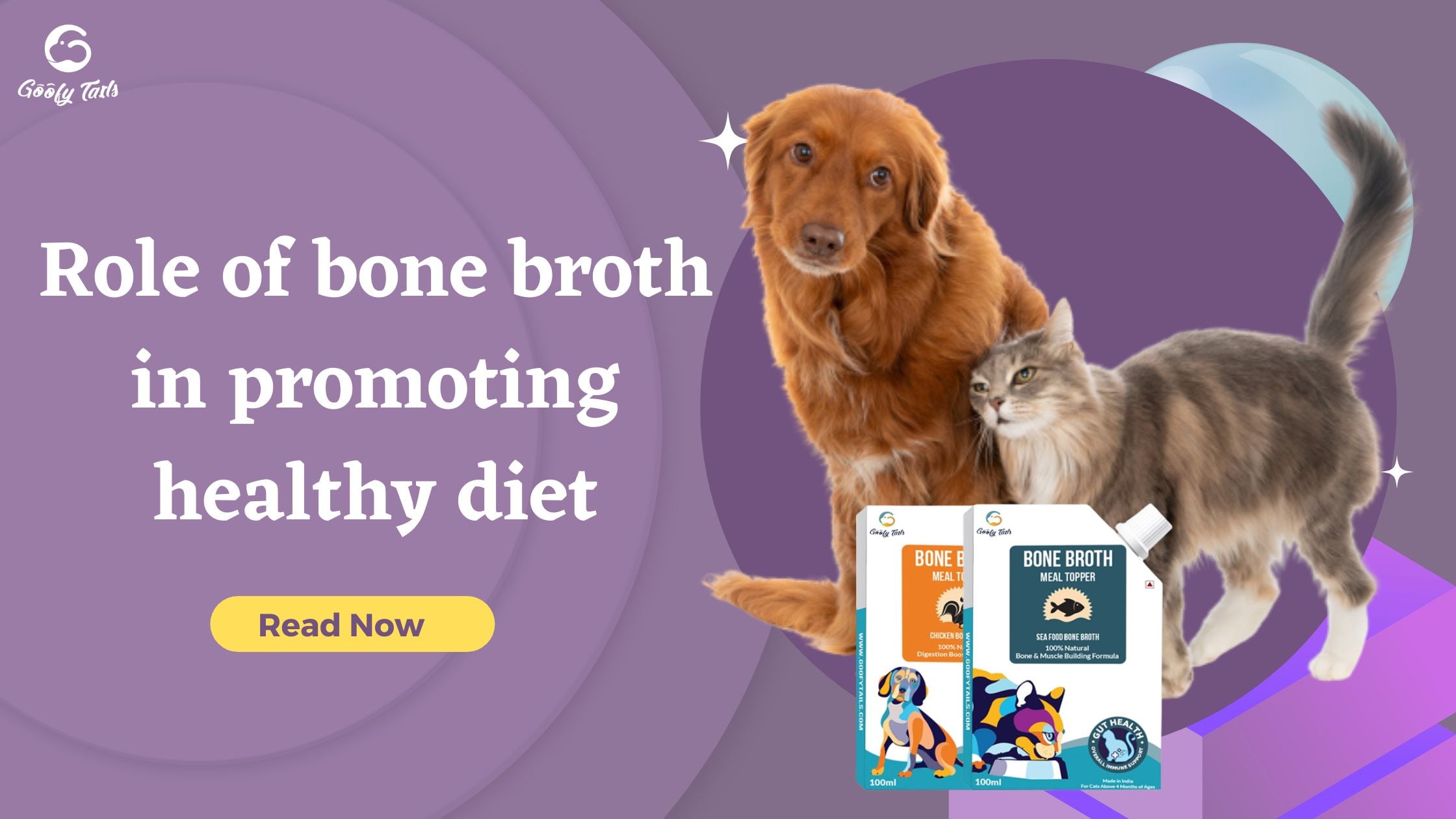 Role of bone broth in promoting healthy diet