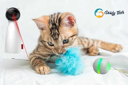 Smart Interactive Cat toys by Goofy Tails  Best cat toys 